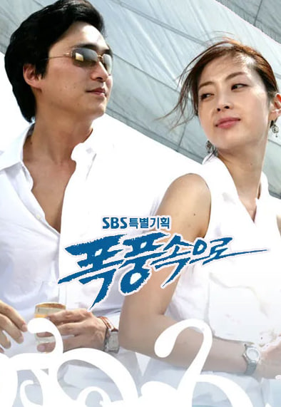 폭풍속으로 (2004)