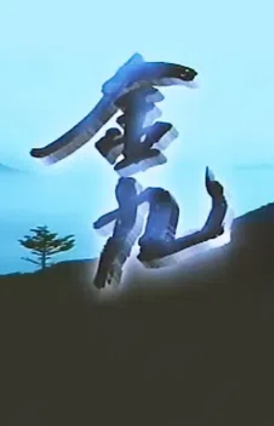 김구 (1995)