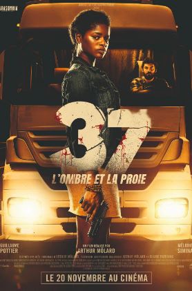 37 (2024)