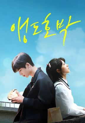 앵도호박 (2025)