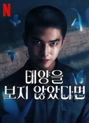 태양을 보지 않았다면 (2025)