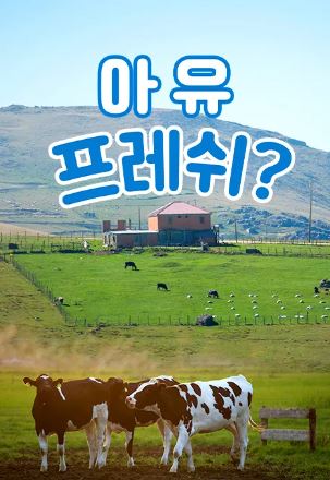 특별기획 아유 프레쉬 