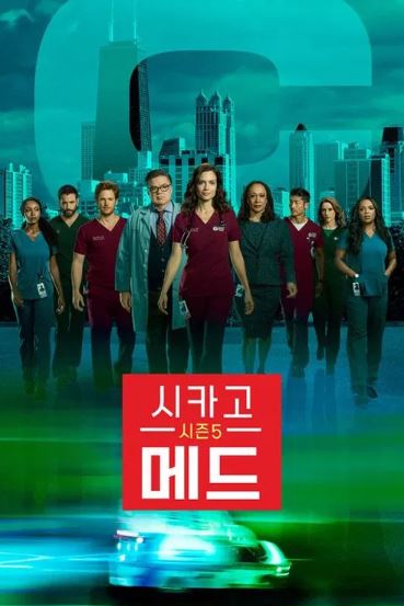 시카고 메드 시즌5 (2019)