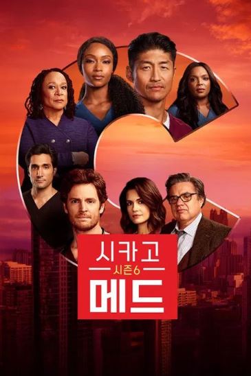 시카고 메드 시즌6 (2020)