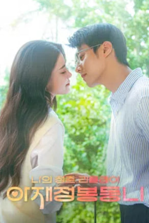 아재정봉등니 - 나의 청춘 리플레이 (2025)
