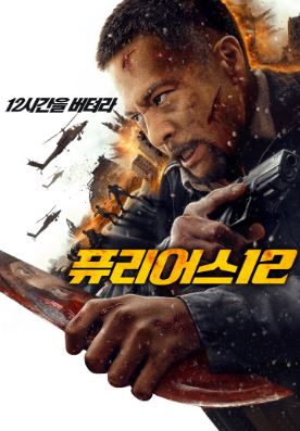 퓨리어스 12 (2024)