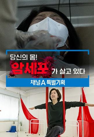당신의몸  암세포가살고있다