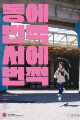 동에 번쩍 서에 번쩍 (2025)