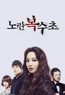 노란 복수초 (2012)