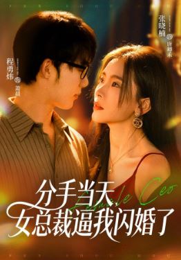 파혼 후 나는 미녀 여회장과 급속 결혼했다 (2025) 退婚后 我闪婚绝色女总裁
