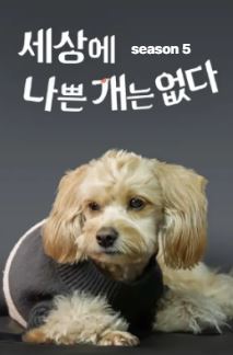 세상에 나쁜 개는 없다 시즌5