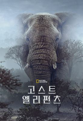 고스트 엘리펀츠 (2026)