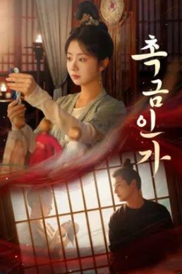 촉금인가 (2024)