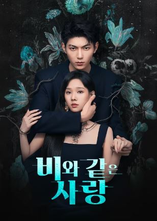 비와 같은 사랑(2026)