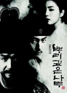 뿌리깊은 나무 (2011)