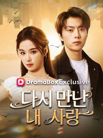 다시 만난 내 사랑 (2026)
