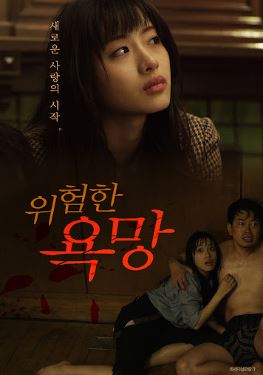 위험한 욕망 (2012)