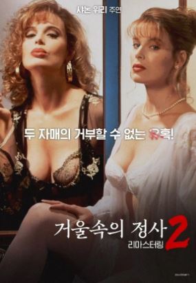 거울 속의 정사 2 (1993)