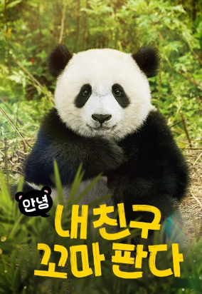 안녕, 내 친구 꼬마 판다 (2025)