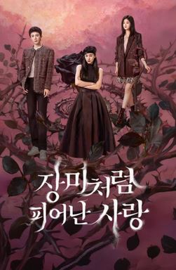 장미처럼 피어난 사랑 (2026)