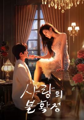 사랑의 불확정(2024)