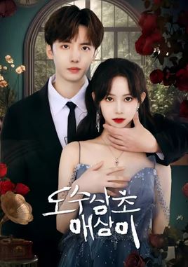 도수삼초애상아(2023)