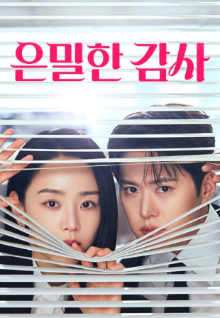 은밀한 감사 (2026)