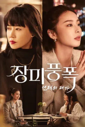 장미풍폭：장미 폭풍 (2024)