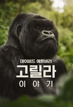 데이비드 애튼버러 고릴라 이야기 (2026)
