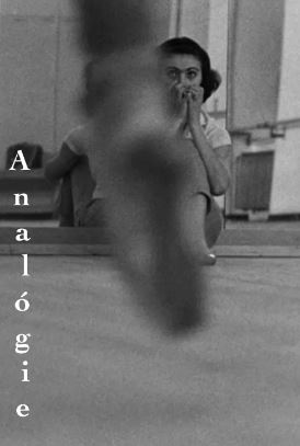 Analógie (1965) 유추