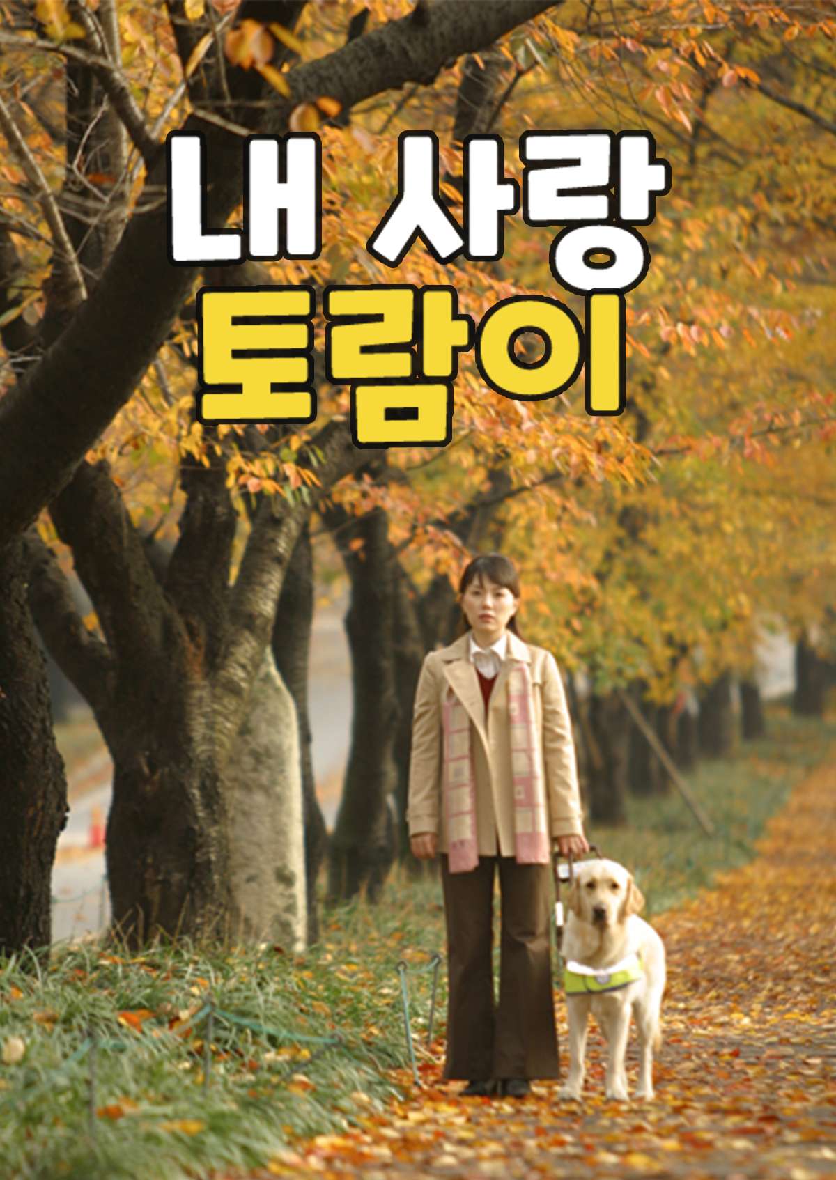 내사랑 토람이 (2005)