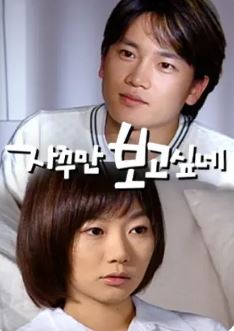 자꾸만 보고 싶네 (2000)