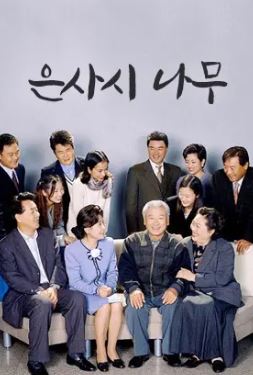 은사시 나무 (2000)