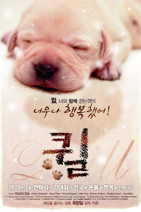 퀼 (2004)