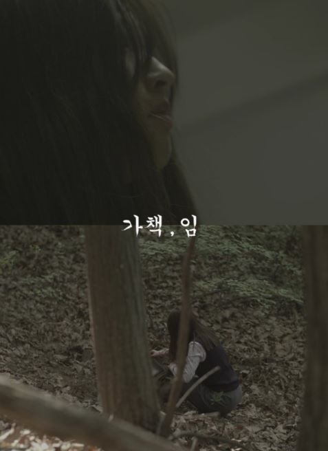 가책 임 (2019)