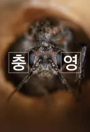 충영