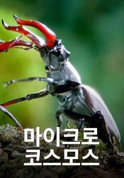 마이크로코스모스 (1996)