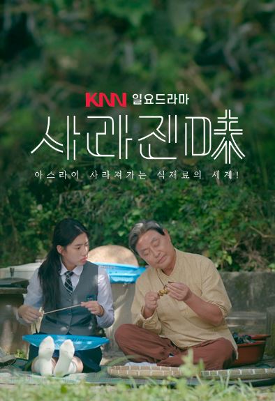 사라진 미 (2024)