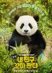 안녕 내 친구 꼬마 판다 (2025)