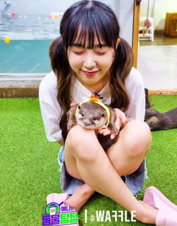 예나는 동물탐정