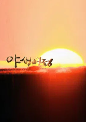 야생여정